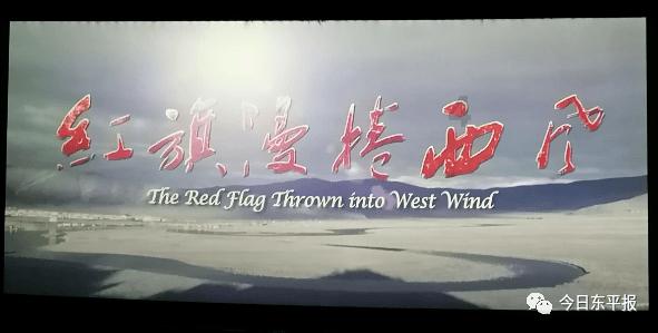 动物帮帮忙保卫家园